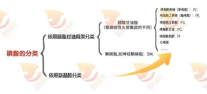 微信图片_20210707185504.jpg