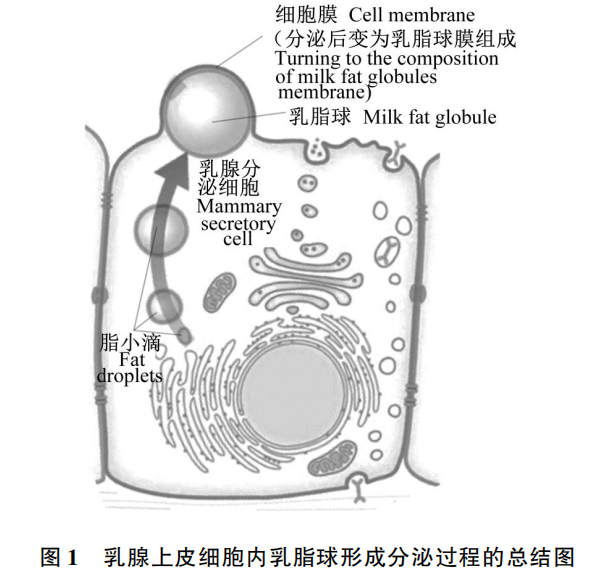 微信图片_20210726134420.png