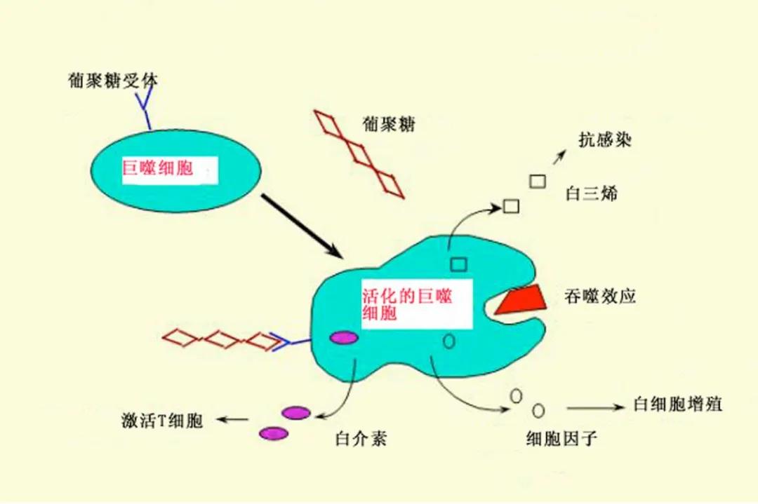 微信图片_20210812104527.jpg