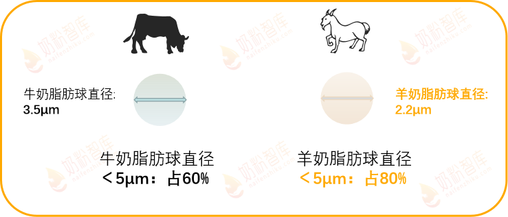 8a35da7973b11838d6ac7fe5688ac238.png