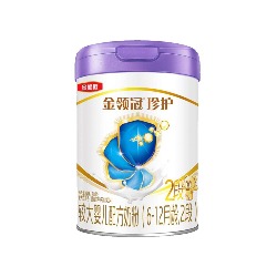 金领冠珍护奶粉2段（新国标808g）